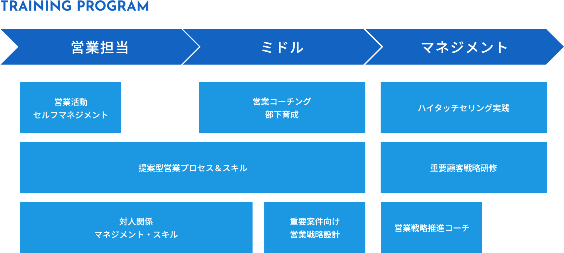 TRAINING PROGRAM